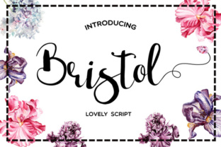 Bristol Font: Elevate Digital Campaigns with Elegant Script