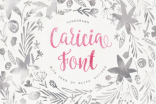 Caricia Font: Gentle Feminine Type for Branding