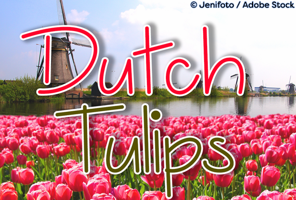 Dutch Tulips Font: Elevating Digital Campaigns