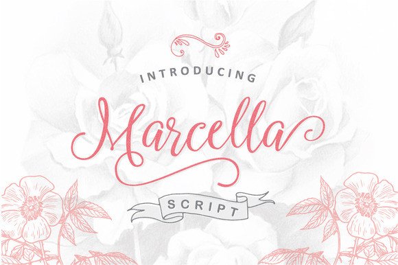 Marcella Font: Elegant Script for Editorial Design