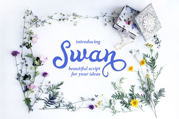 Swan Font Review: Elegant Script for Real Design Work